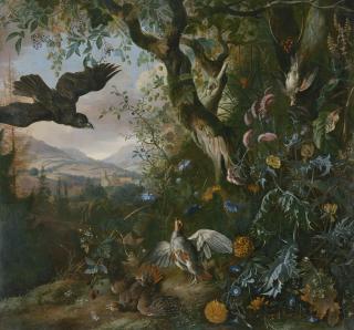 Matthias Withoos - A landscape with drugged birds in the flowers and underbrush of the wood