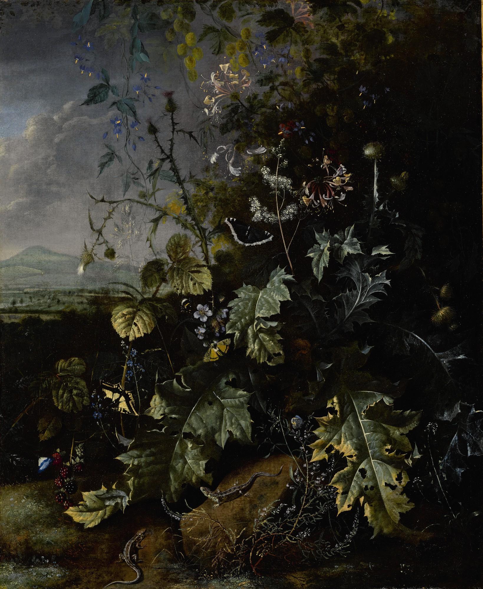 Matthias Withoos - Forest Floor Still Life With Various Flowers, Butterflies, And Lizards, All Before A Landscape