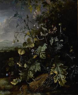 Matthias Withoos - Forest Floor Still Life With Various Flowers, Butterflies, And Lizards, All Before A Landscape