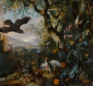Matthias Withoos - Landscape With Drugged Birds In The Flower And Underbrush Of The Wood