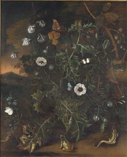 Matthias Withoos - Thistles, brambles, poppies and other plants, with a bird\'s nest, a frog, a lizzard and butterflies, a mountainous sunset landscape beyond