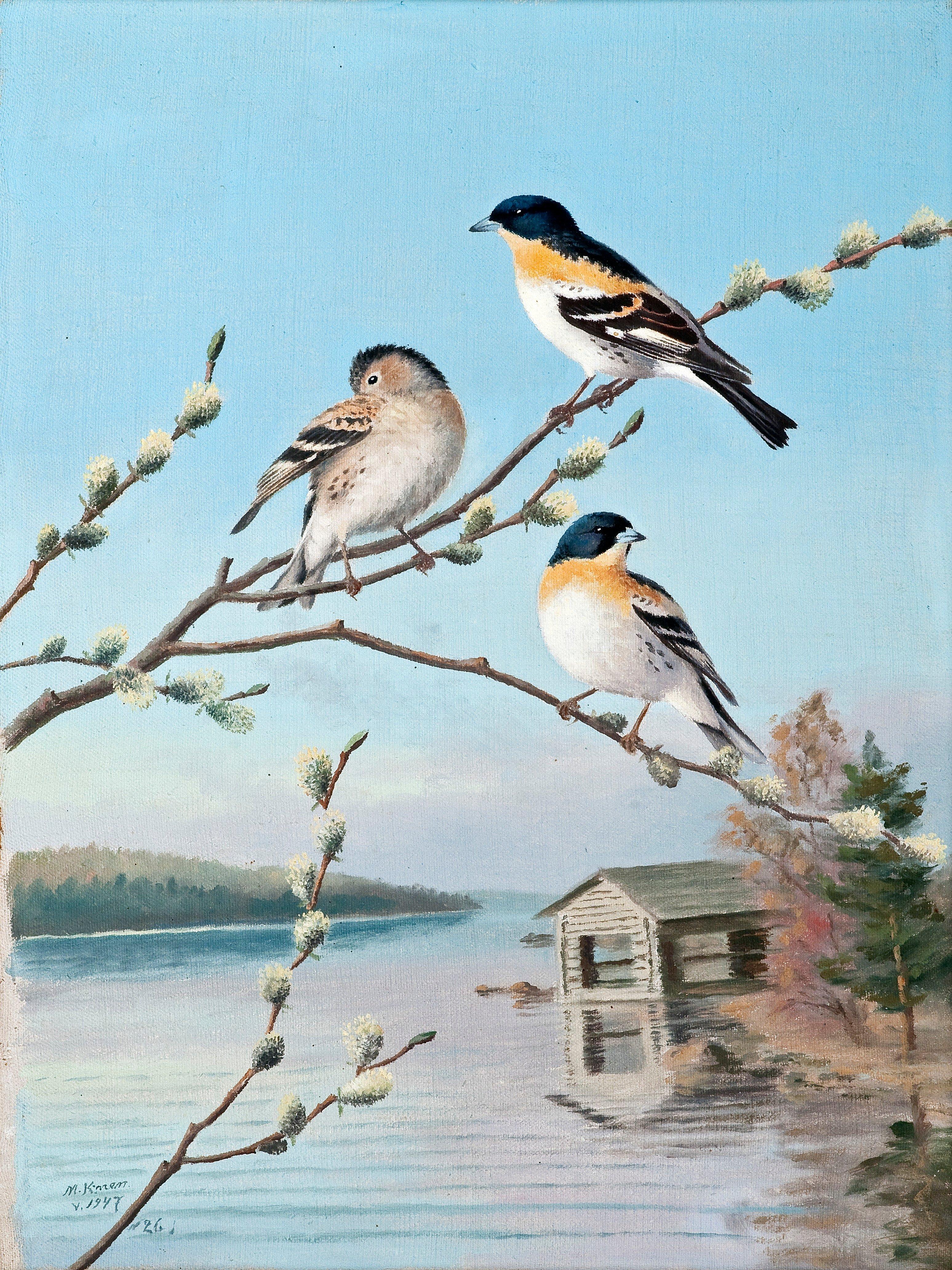 Matti Karppanen - Birds In Spring.