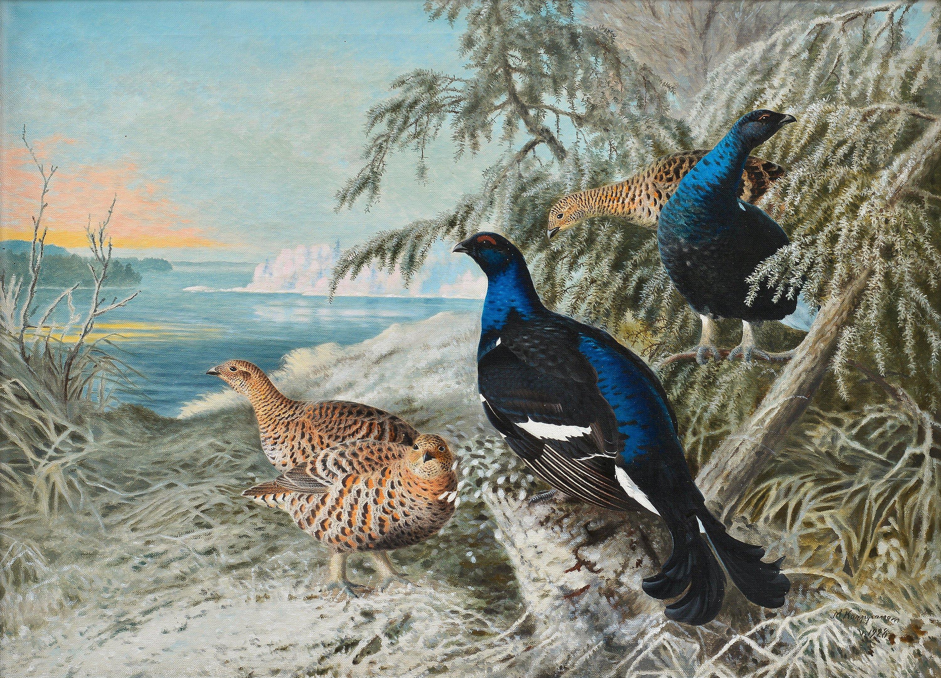 Matti Karppanen - Birds In Winter.