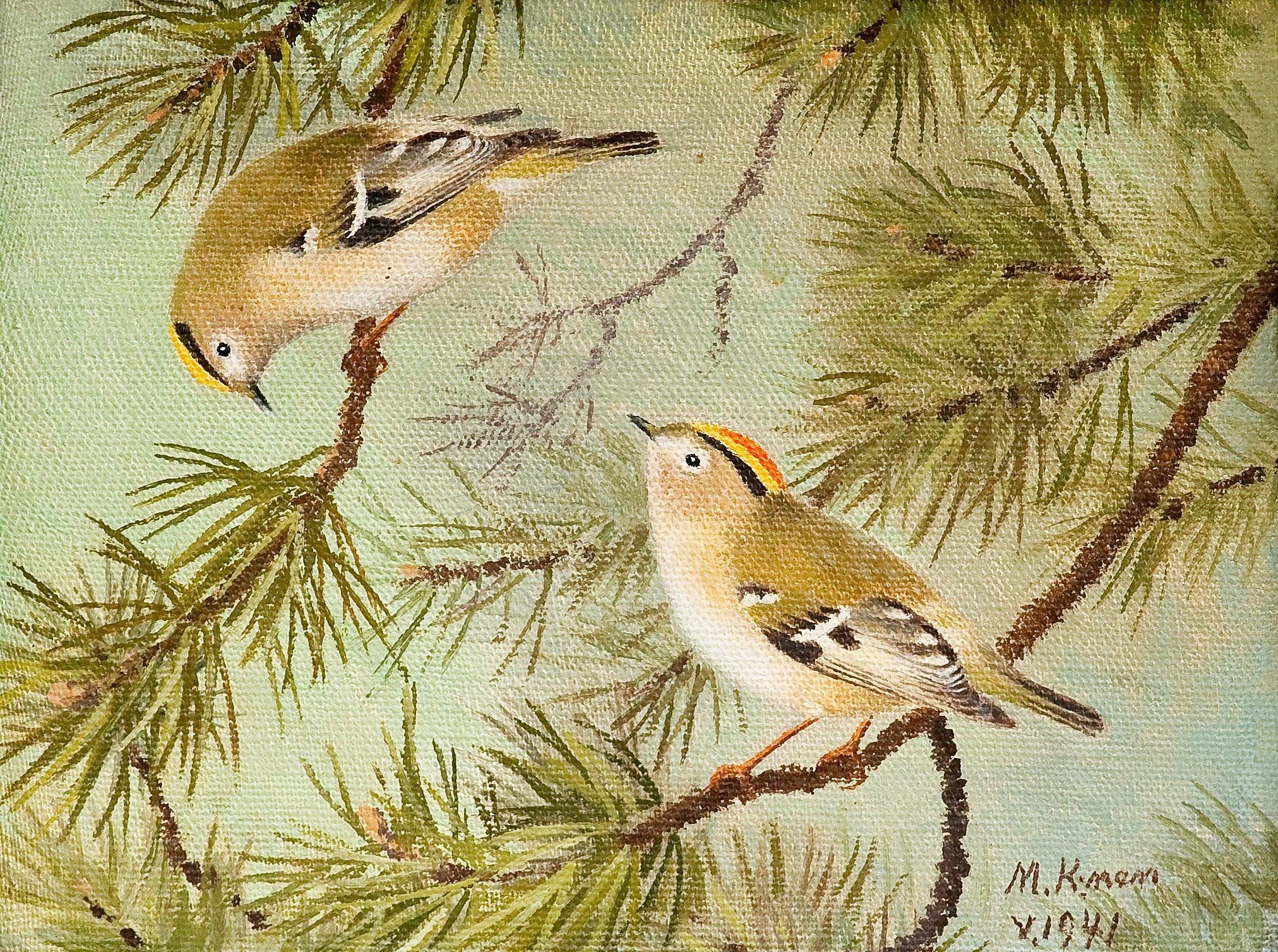 Matti Karppanen - Birds.