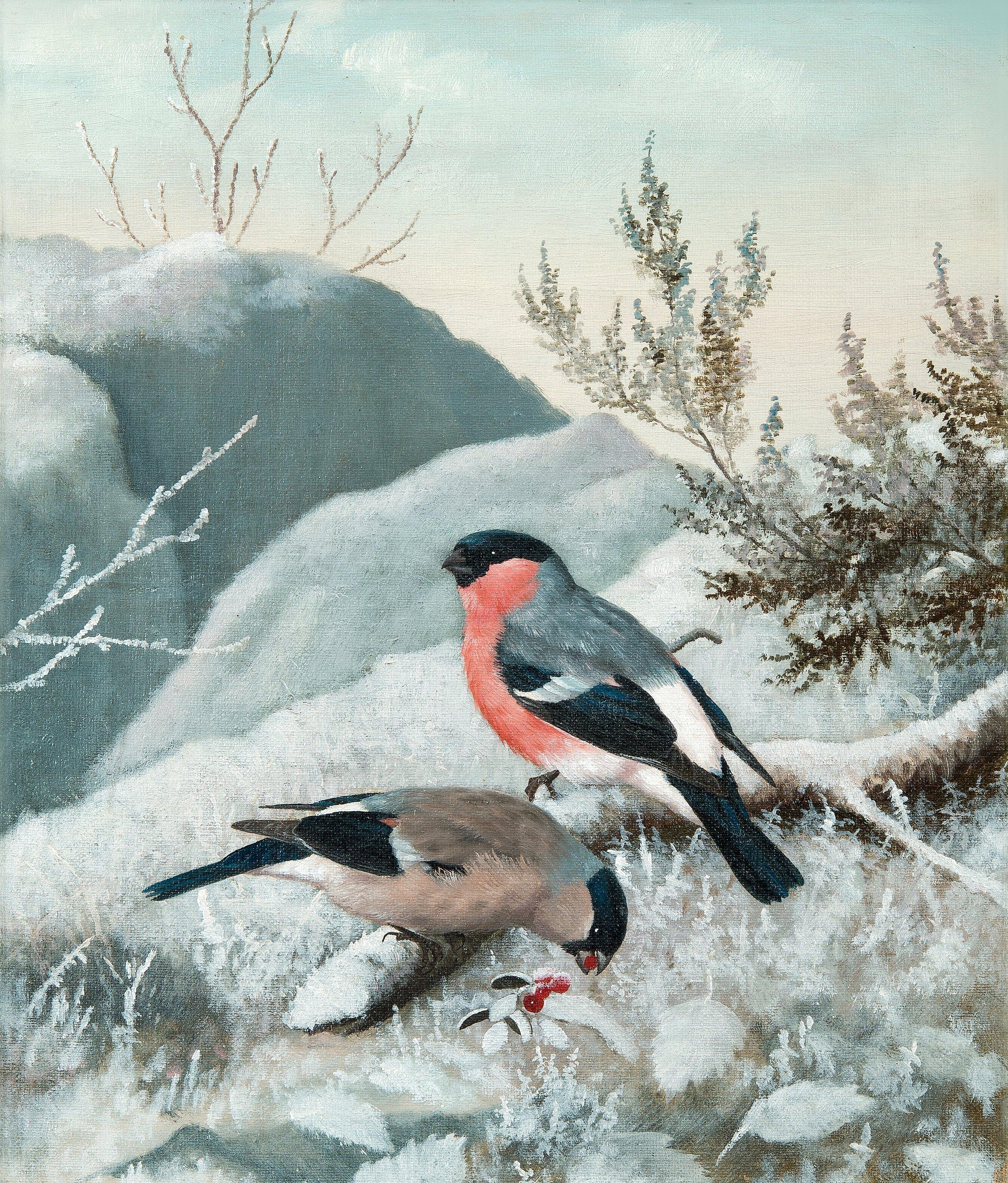 Matti Karppanen - Bullfinches.