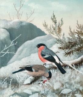 Matti Karppanen - Bullfinches.