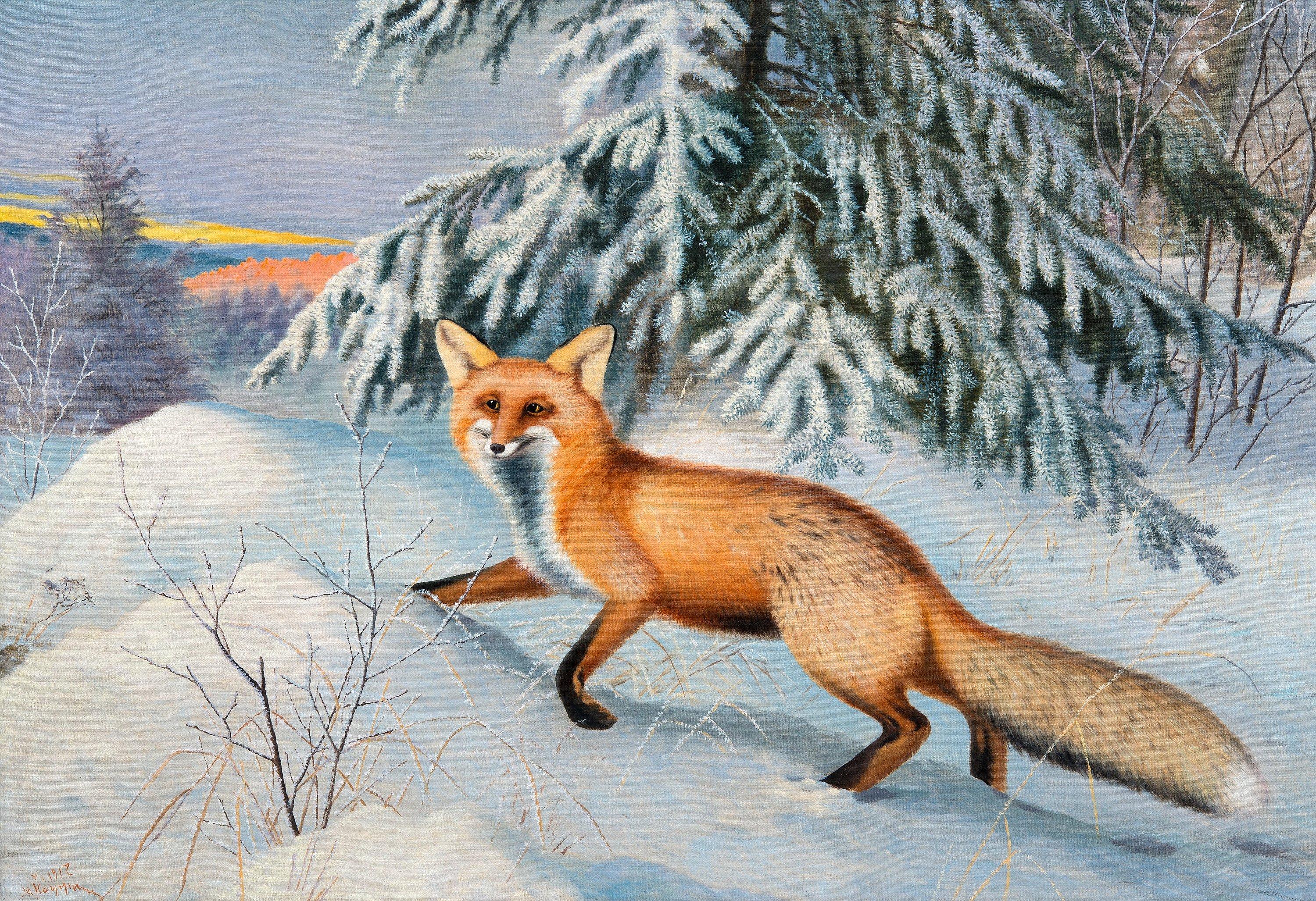 Matti Karppanen - Fox.