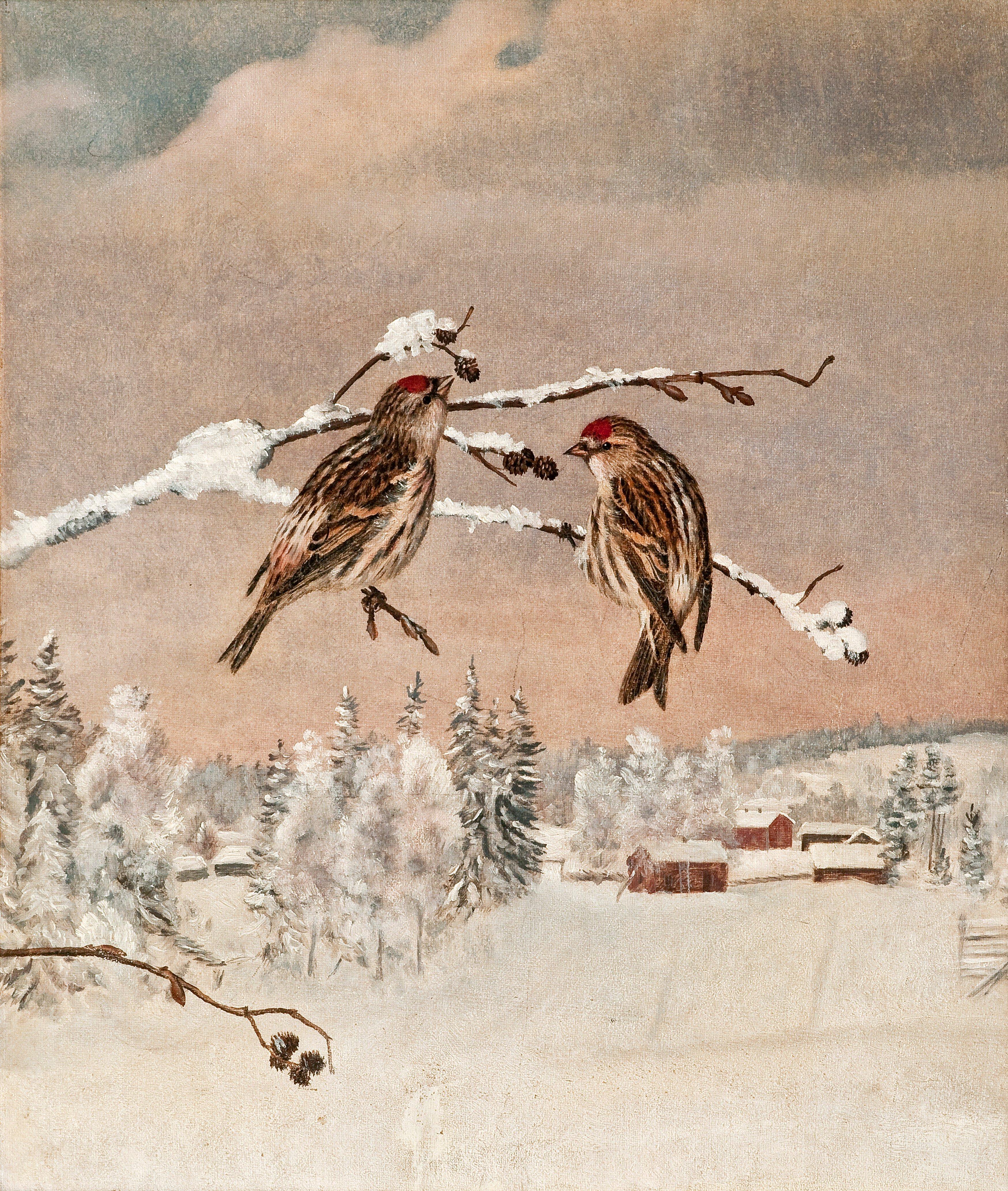 Matti Karppanen - Winter Birds.