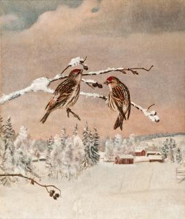 Matti Karppanen - Winter Birds.