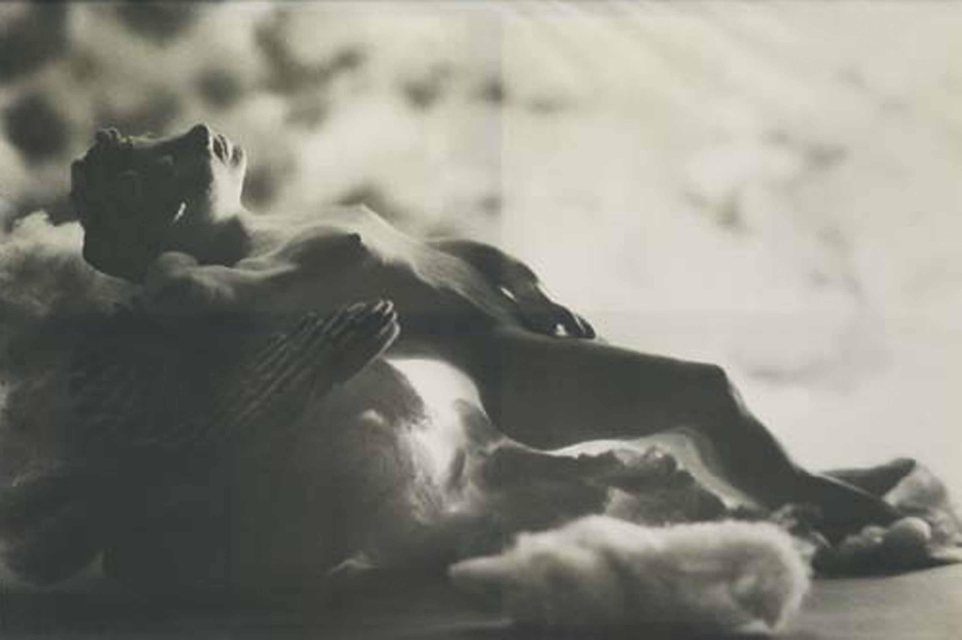 Mattia Bonetti - Nature Morte (Ange), 1982