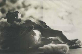 Mattia Bonetti - Nature Morte (Ange), 1982