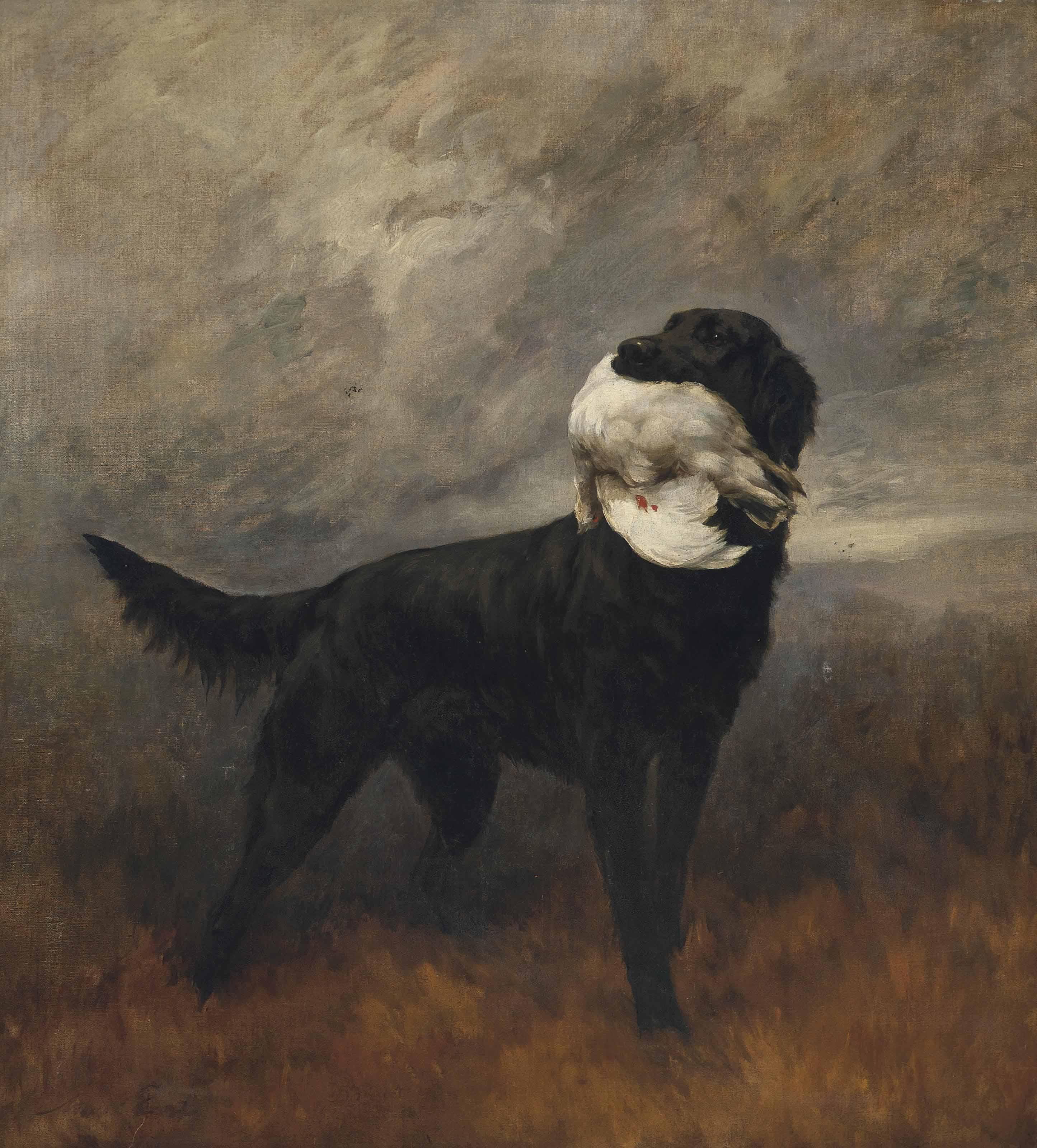 Maud Earl - A black retriever in an extensive mountainous landscape