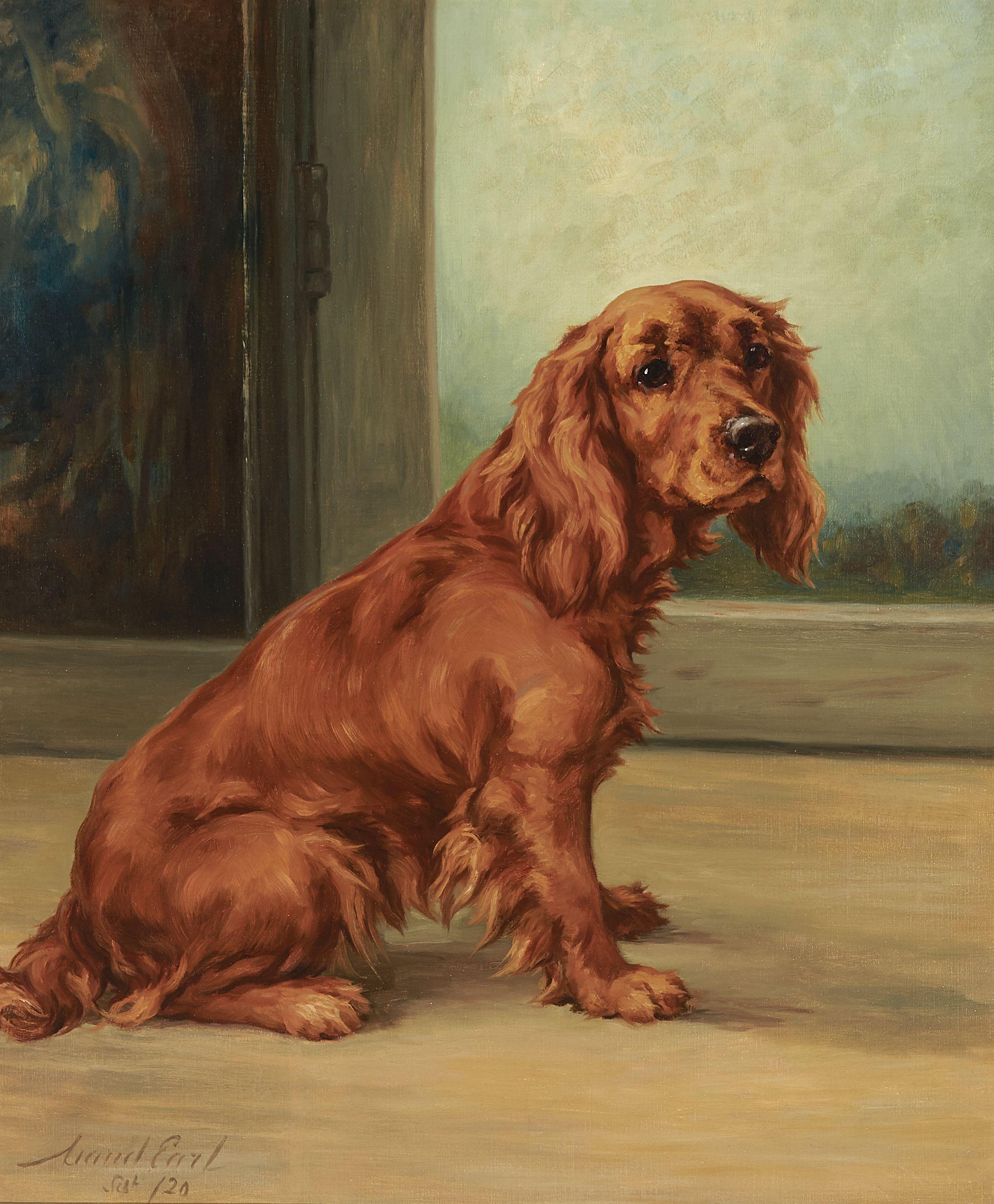Maud Earl - A field spaniel in an interior