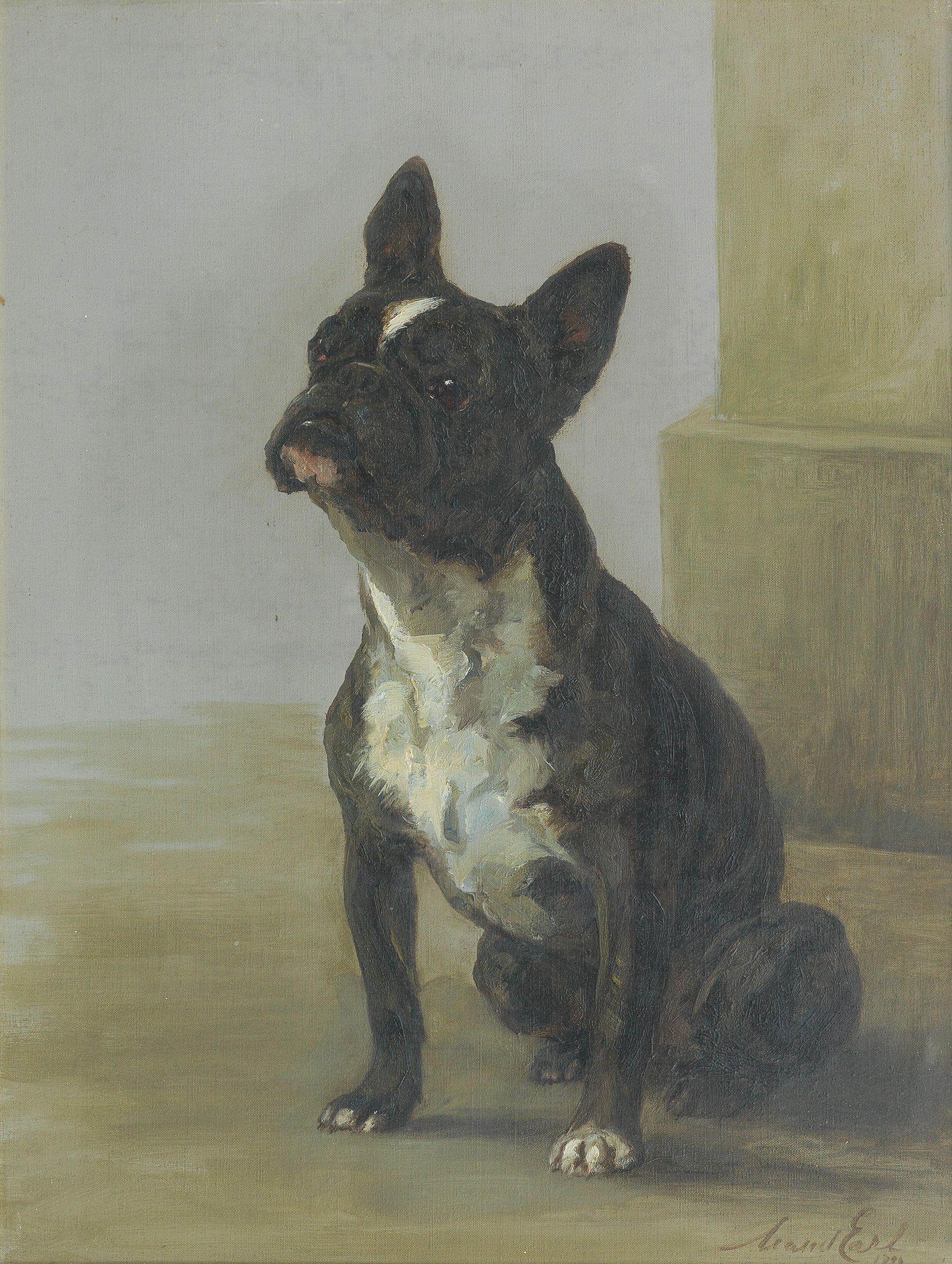 Maud Earl - A French Bulldog