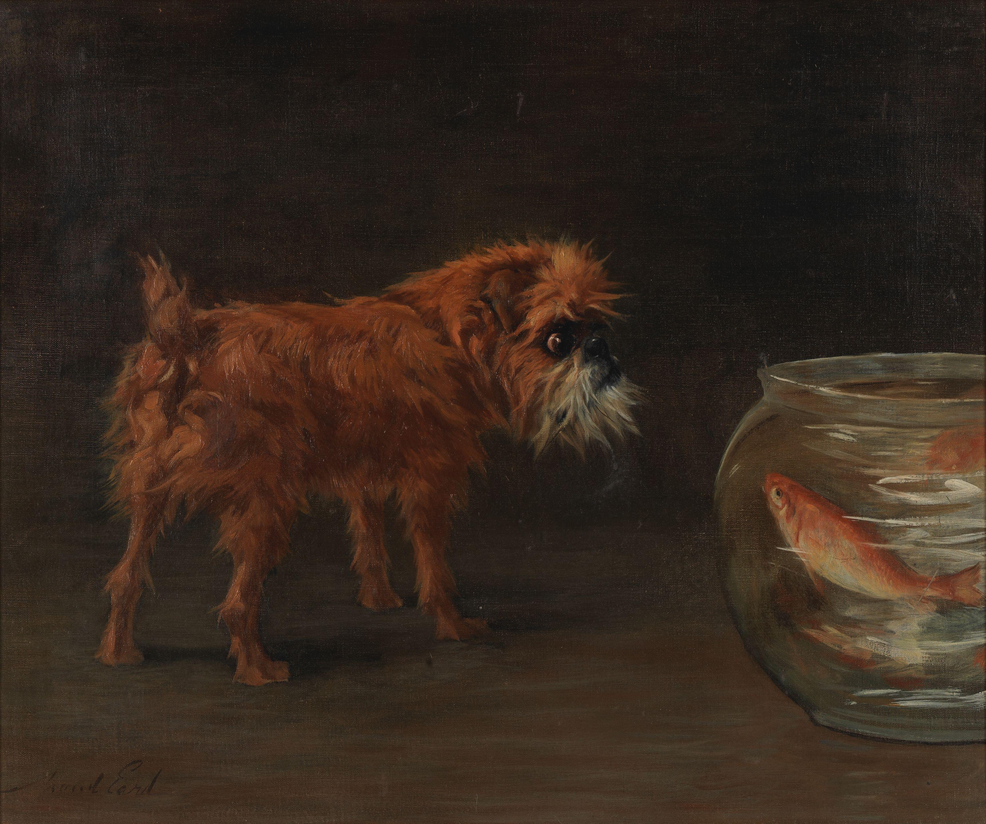 Maud Earl - A Griffon and a Goldfish