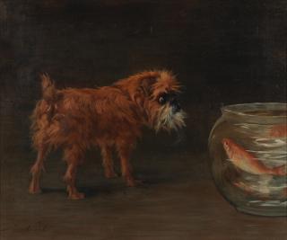 Maud Earl - A Griffon and a Goldfish