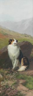 Maud Earl - A Rough Collie in a Landscape