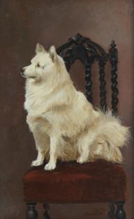 Maud Earl - A Spitz seated on a fine chair