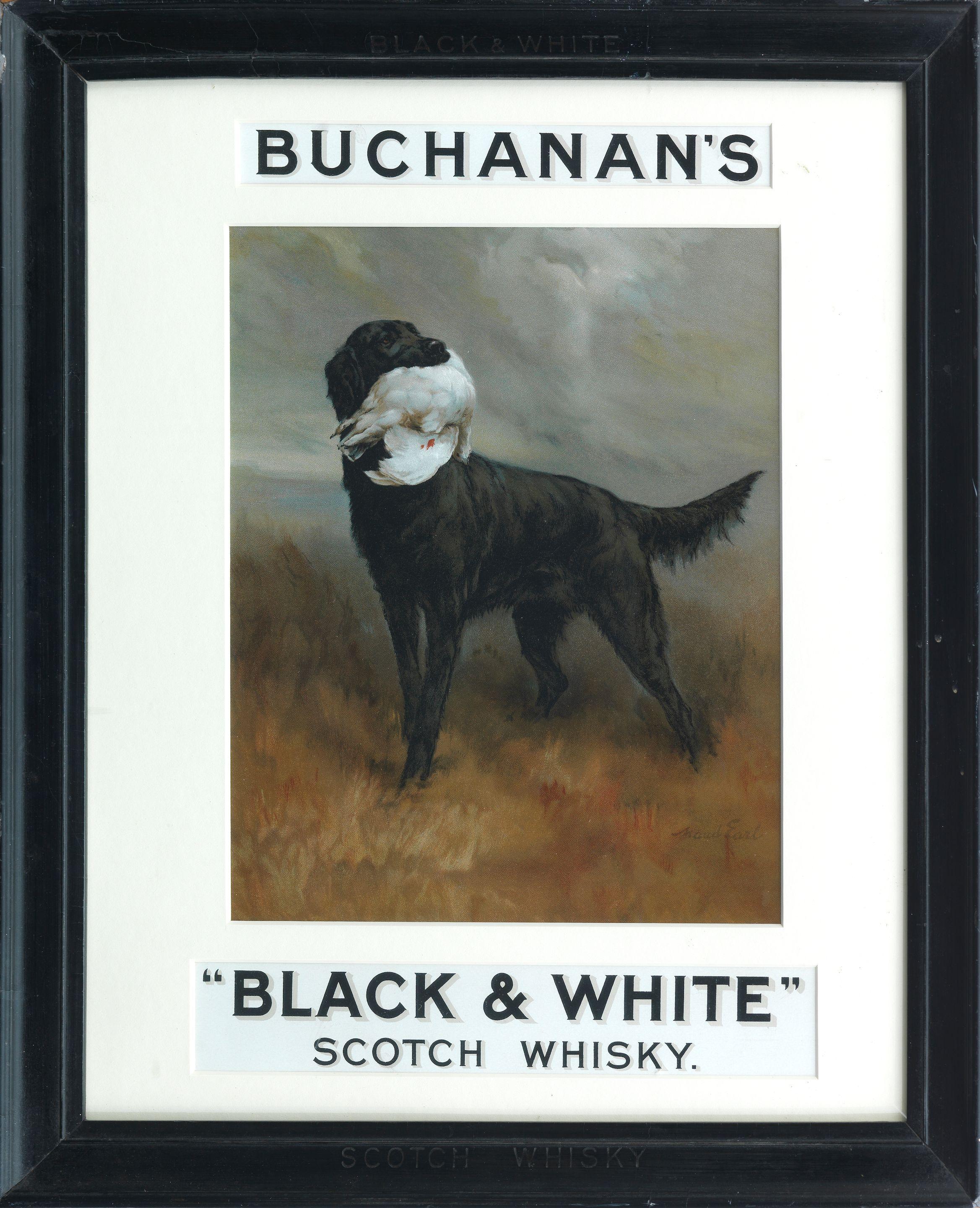 Maud Earl - Buchanan\'s Whisky advert with a Black Labrador