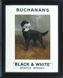 Maud Earl - Buchanan\'s Whisky advert with a Black Labrador
