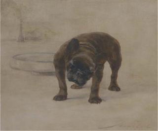 Maud Earl - Champion Dinette, a French bulldog