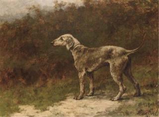 Maud Earl - Clyde Boy, a Beddlington terrier