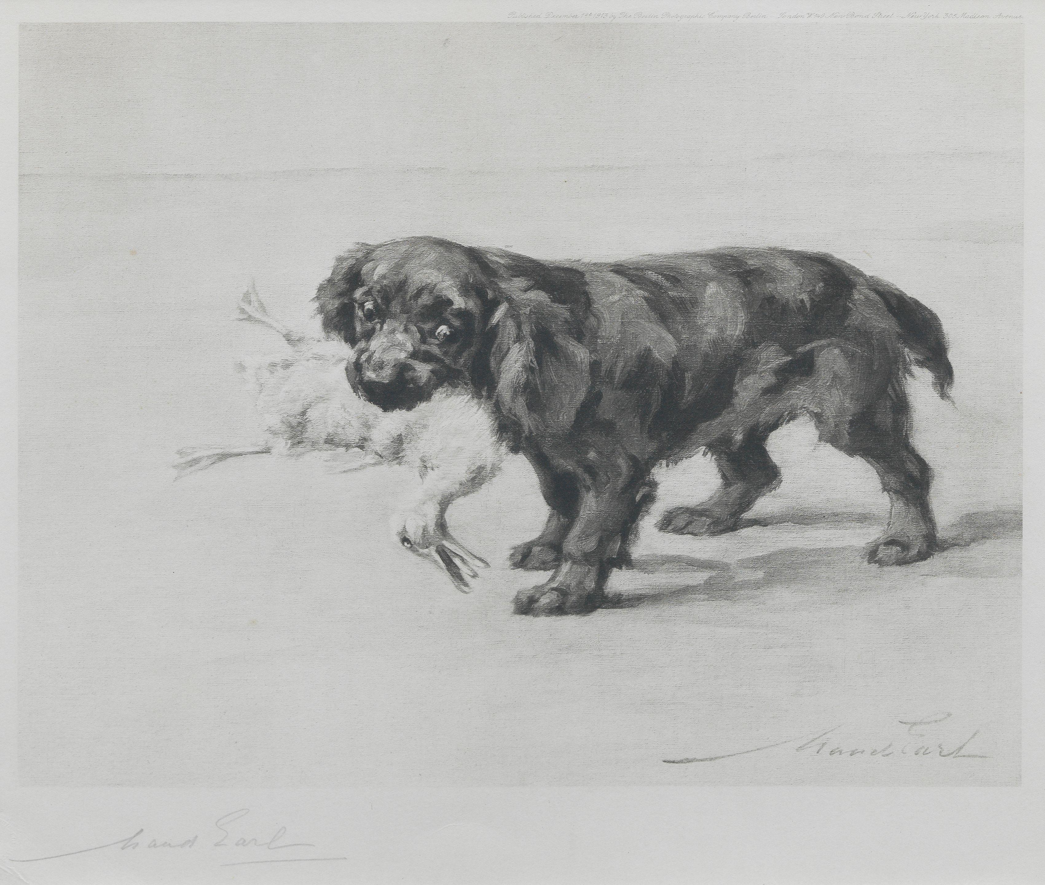 Maud Earl - Cocker Spaniel \'Chris\'