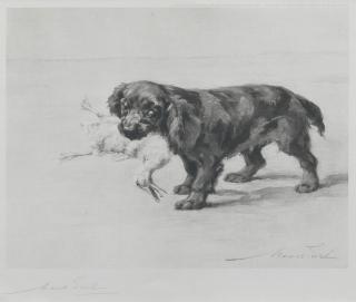 Maud Earl - Cocker Spaniel \'Chris\'