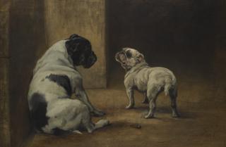 Maud Earl - Dignity And Impudence