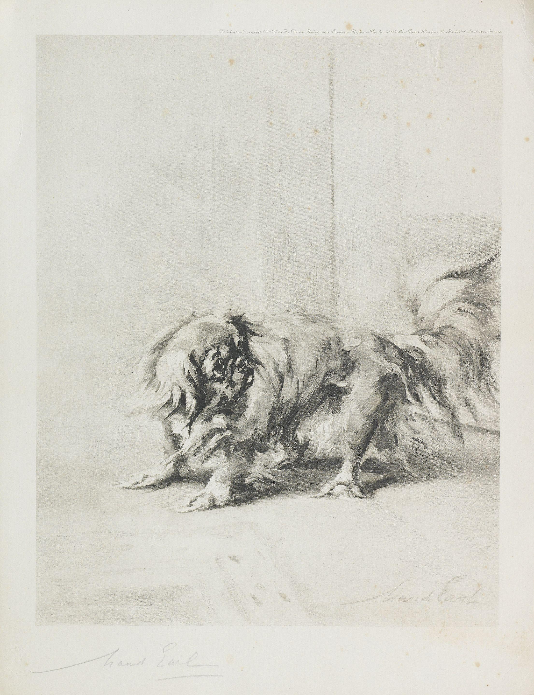 Maud Earl - \'Rosalie\' - A Pekingese