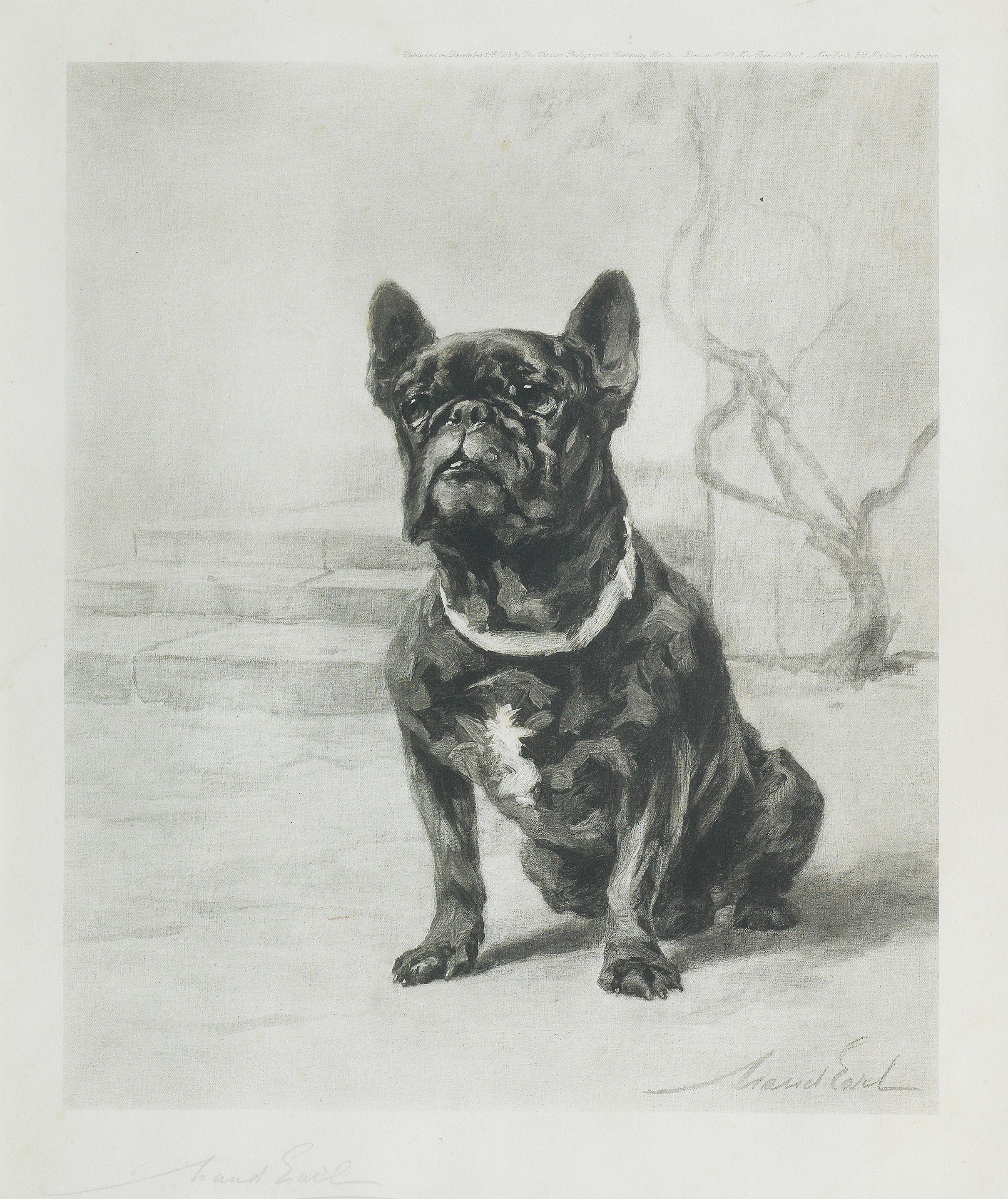 Maud Earl - The French Bulldog, \'Qui Qui\' of Amersham