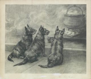 Maud Earl - The Pot Boilers