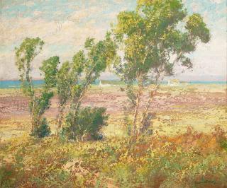 Maurice Braun - A View Toward the San Diego Coast 20 x 24 in. framed 28 x 31 1/2 in.