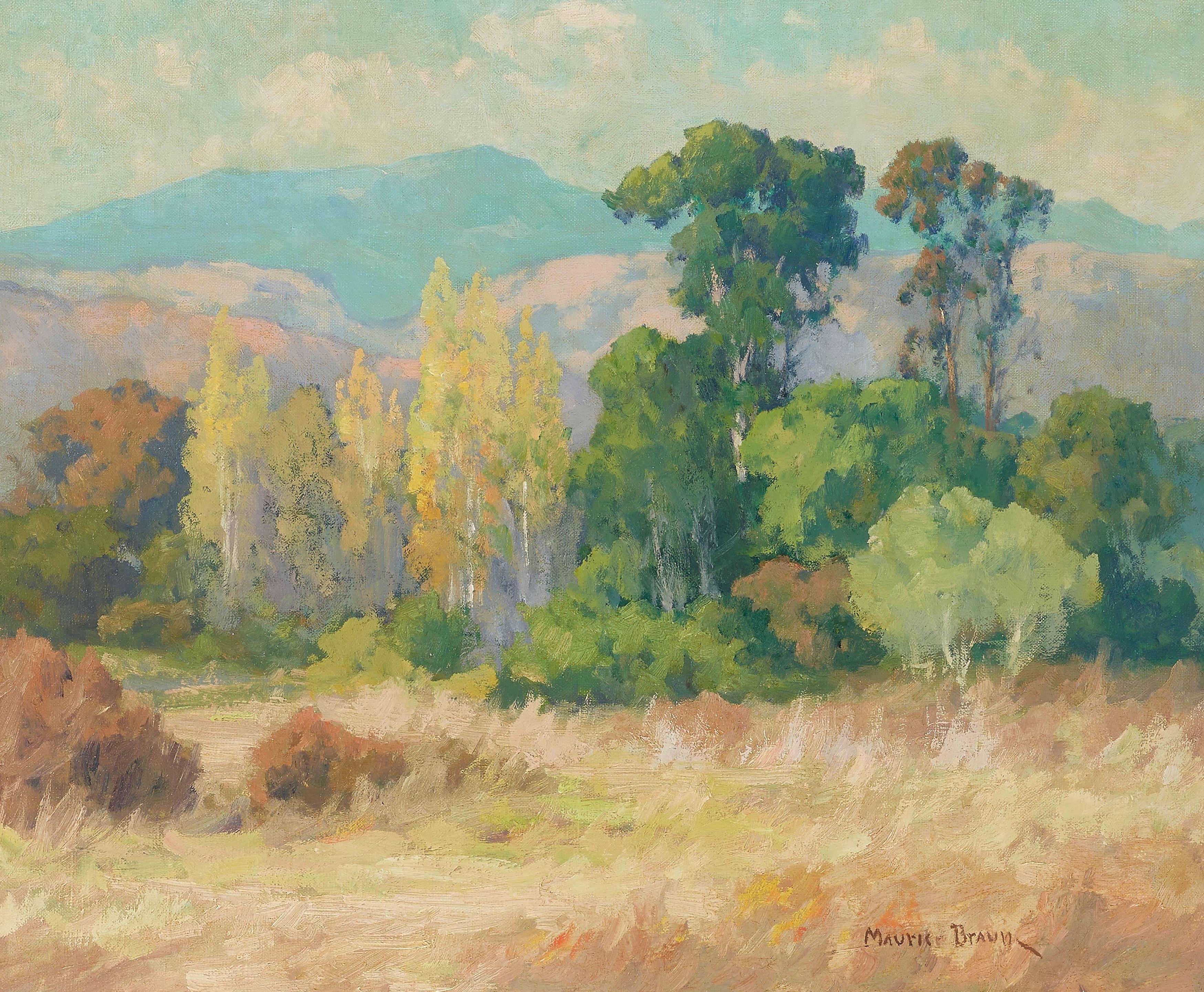 Maurice Braun - Eucalyptus in Rolling Hills