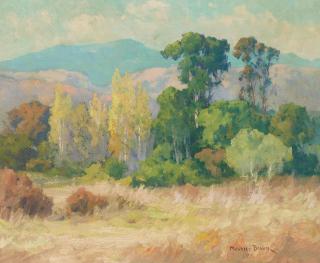 Maurice Braun - Eucalyptus in Rolling Hills