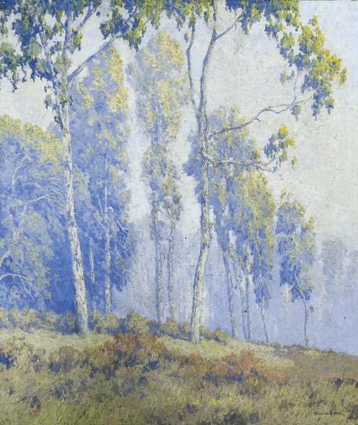 Maurice Braun - Eucalyptus Trees in the Mist