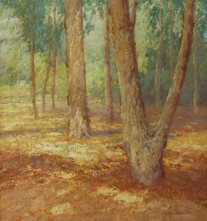 Maurice Braun - In the Eucalyptus Grove
