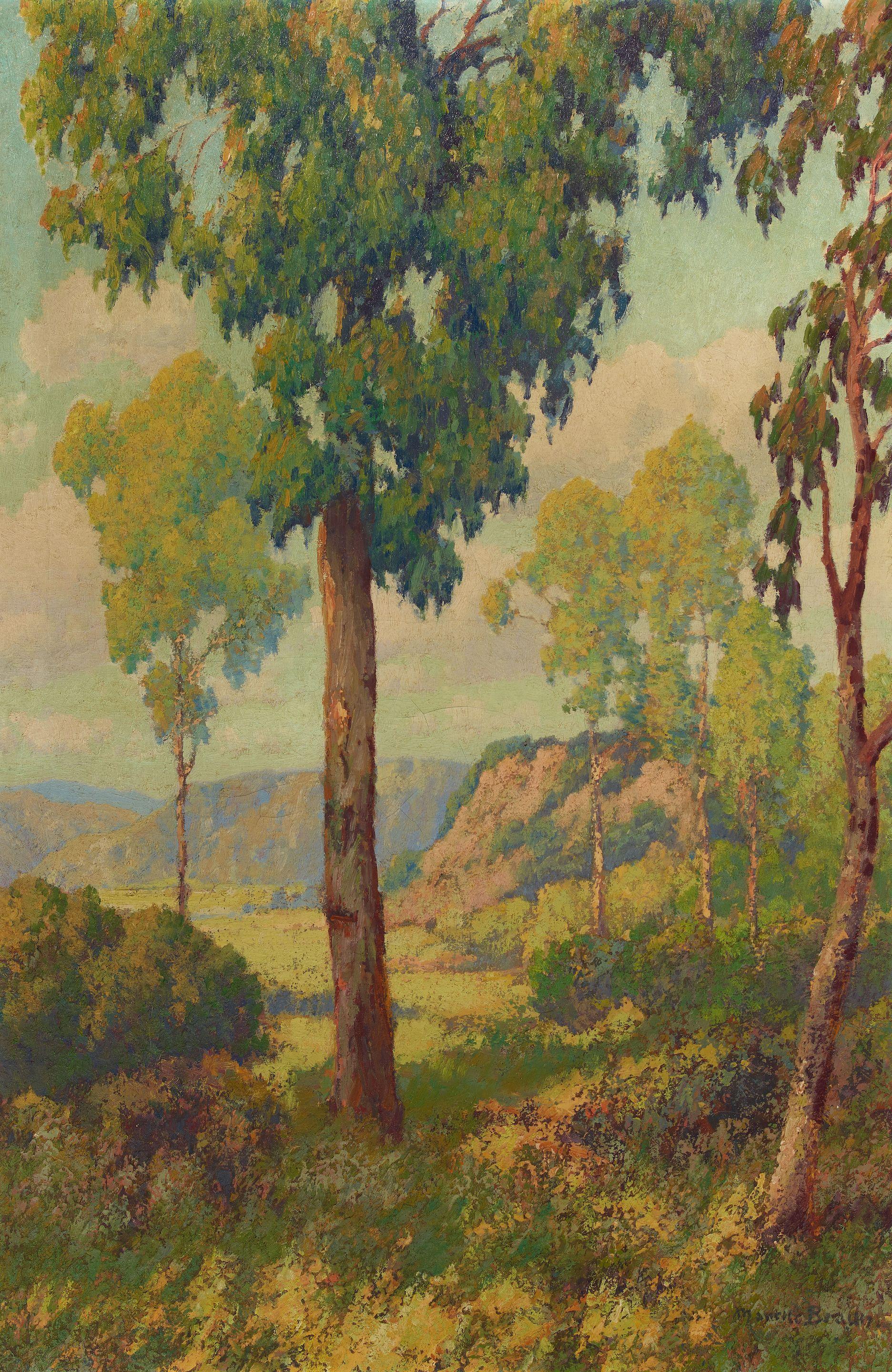 Maurice Braun - The Eucalyptus