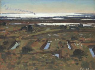 Maurice Macgonigal - Mountain Bog, Inverin, Connemara