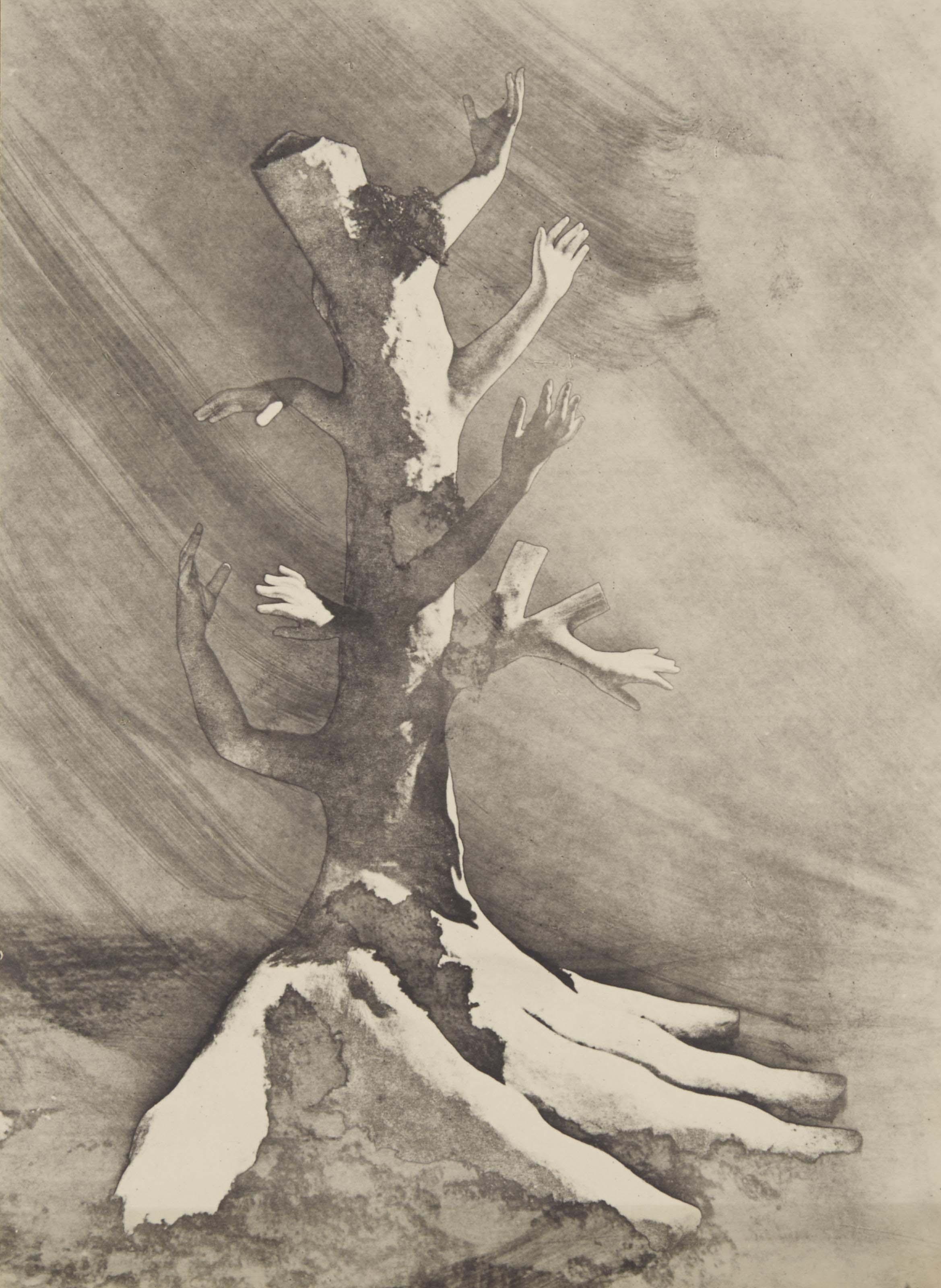 Maurice Tabard - L\'Arbre À Sept Mains, 1938