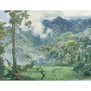 Maurício Barbato - After The Rain (Andes)