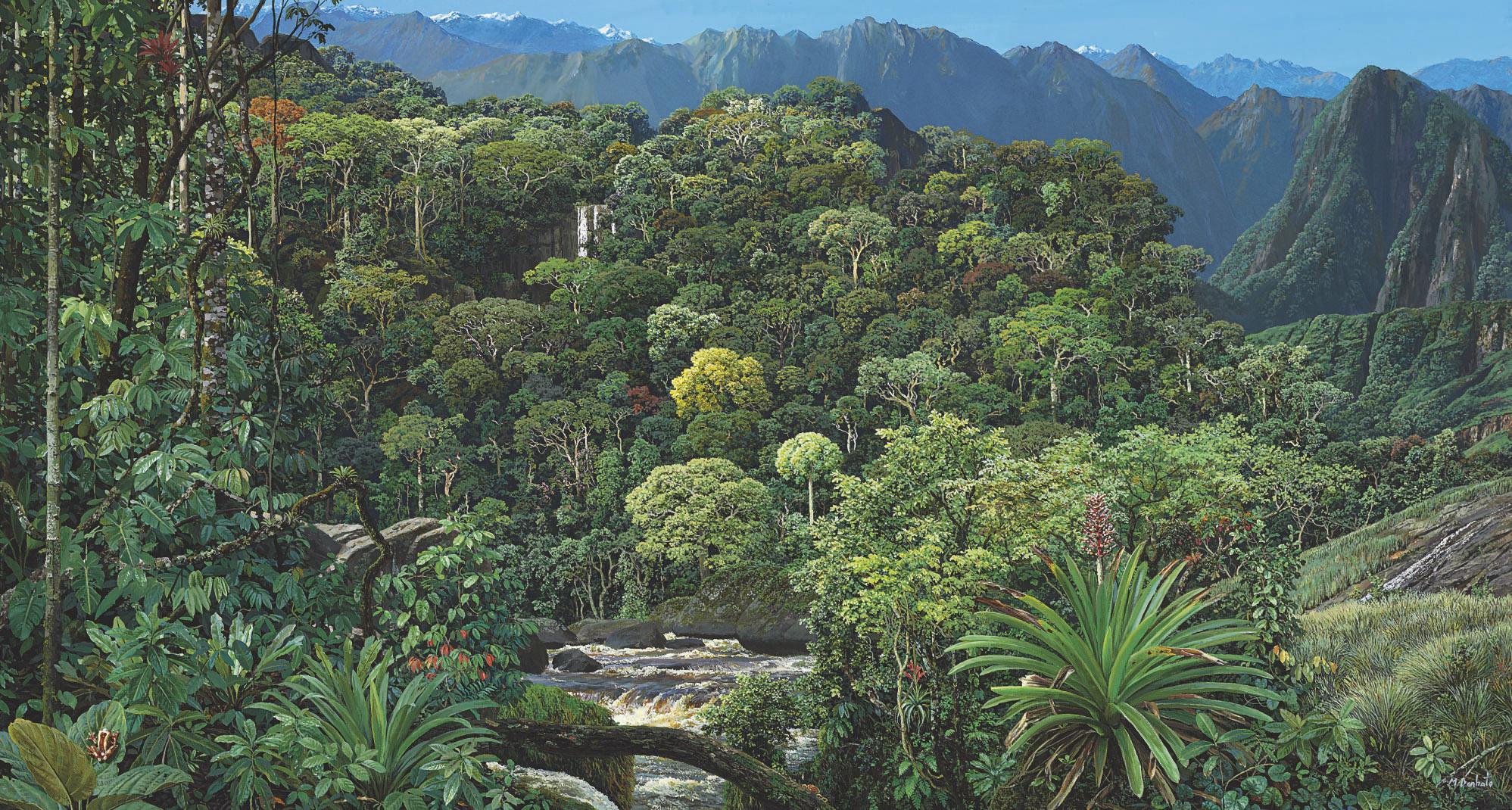 Maurício Barbato - Andean Amazon