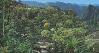 Maurício Barbato - Andean Amazon