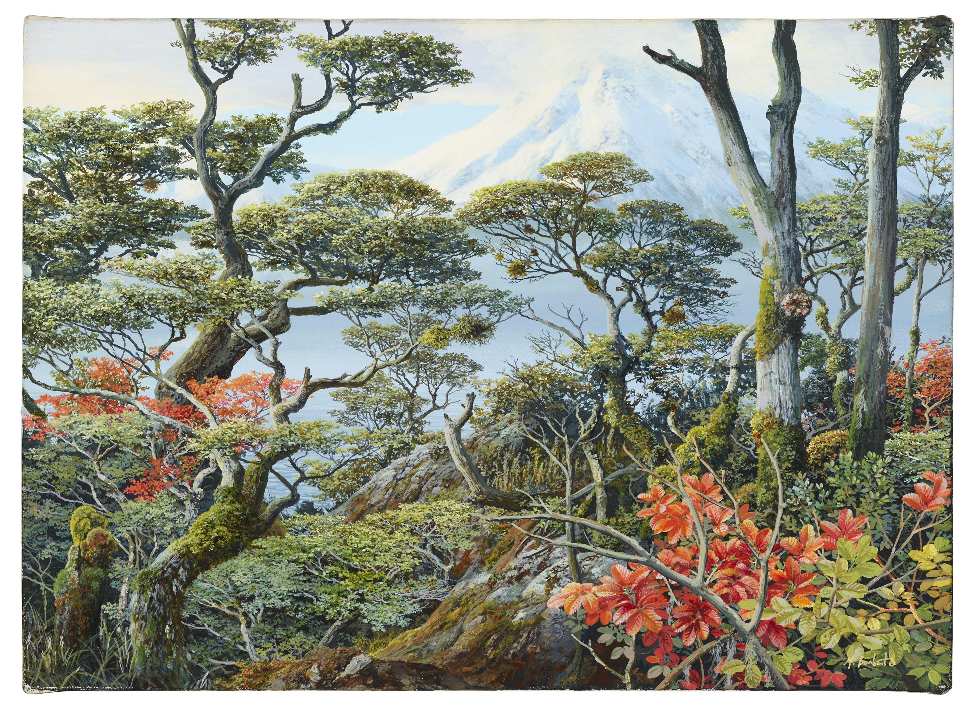 Mauricio Barbato - Canal de Beagle e Cordiilheira dos Andes (Darwin)