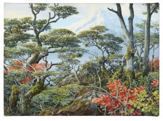 Mauricio Barbato - Canal de Beagle e Cordiilheira dos Andes (Darwin)