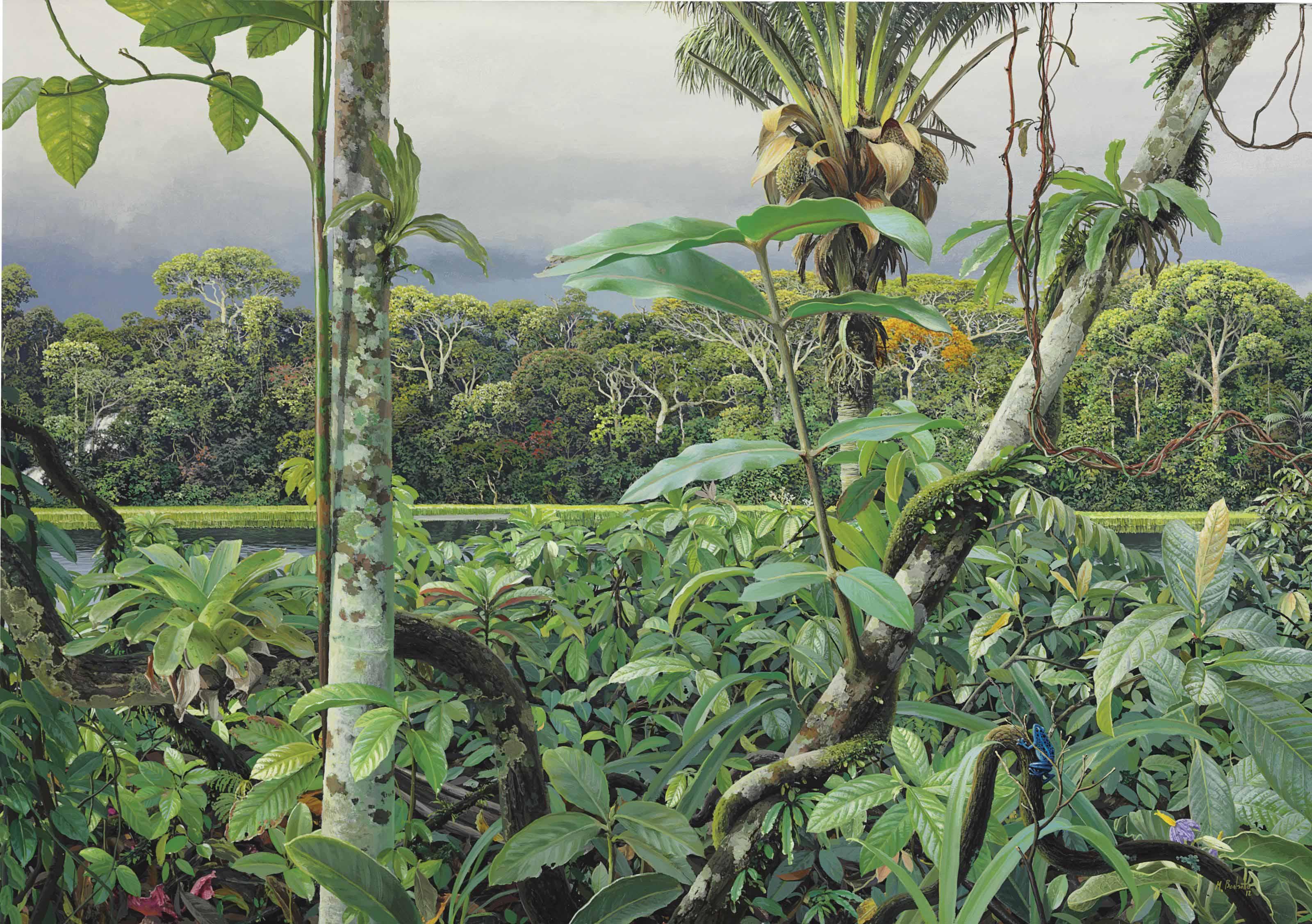 Mauricio Barbato - Floresta úmida