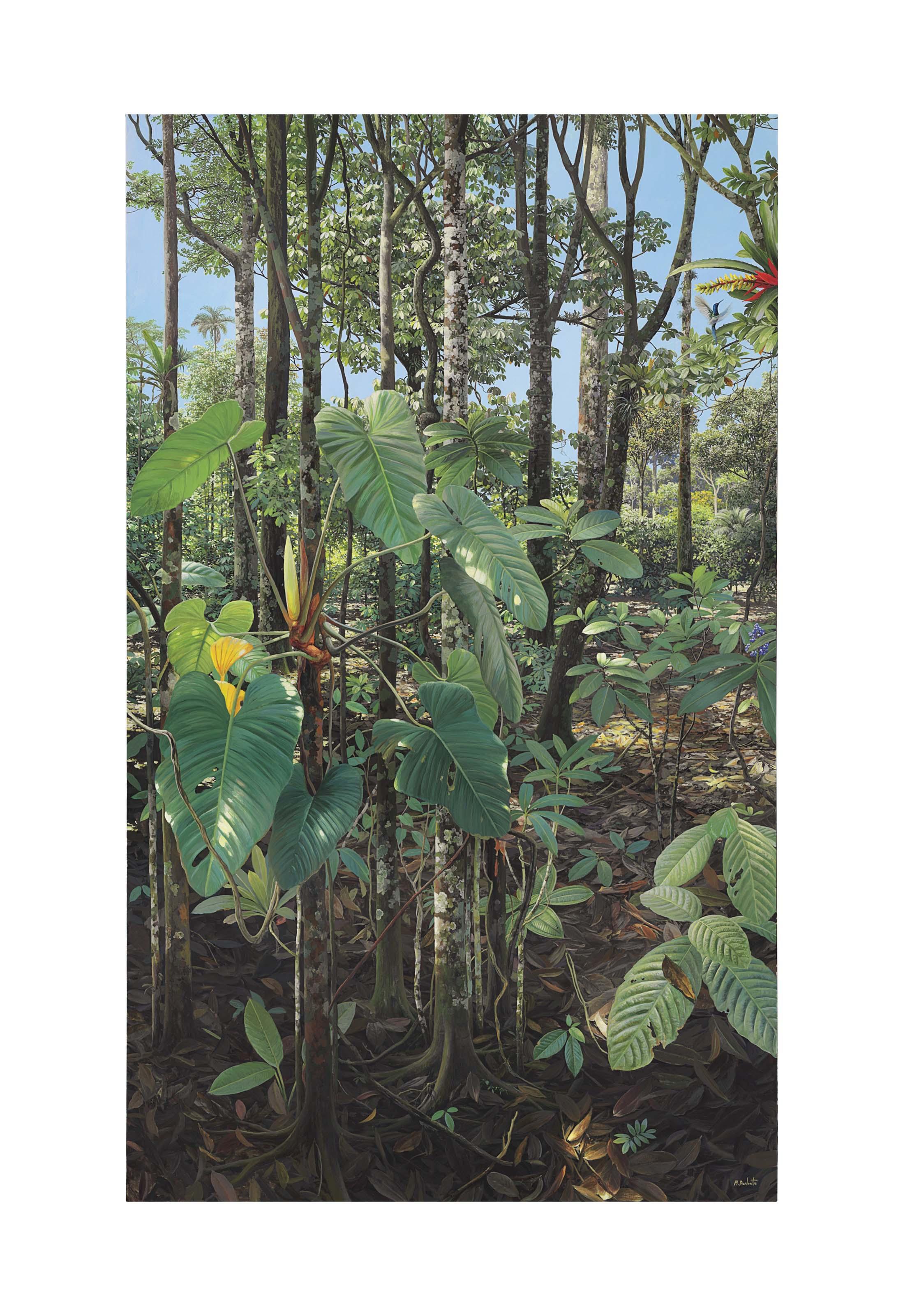 Mauricio Barbato - Philodendron