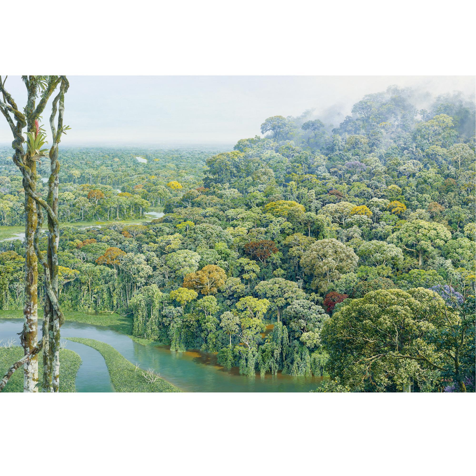 Maurício Barbato - Untitled