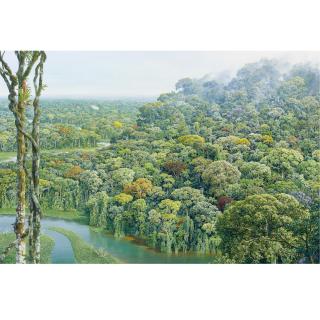 Maurício Barbato - Untitled