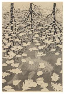 Maurits Cornelis Escher - Drie Werelden (Three Worlds)